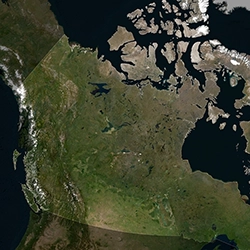 Dynamic Content Image