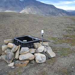 Dynamic Content Image