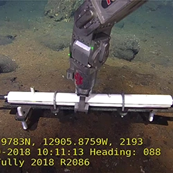 Dynamic Content Image