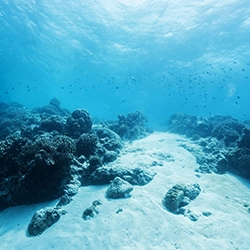 Dynamic Content Image