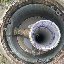 Dynamic Content Image