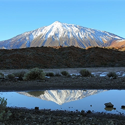 Dynamic Content Image