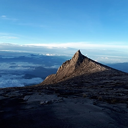 Dynamic Content Image