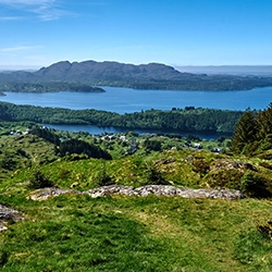 Dynamic Content Image