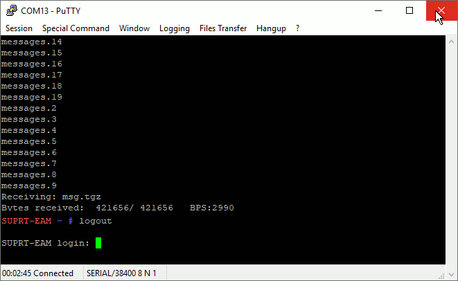 Logging out and closing the PuTTY enulation window