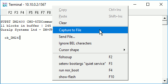 Scream's terminal's context menu, showing the 'Capture to file' option