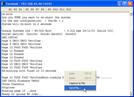 DM24 terminal send-file