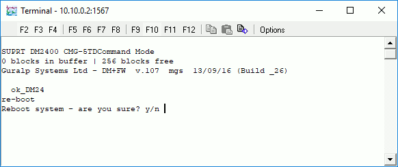 scream terminal window, showing reboot command